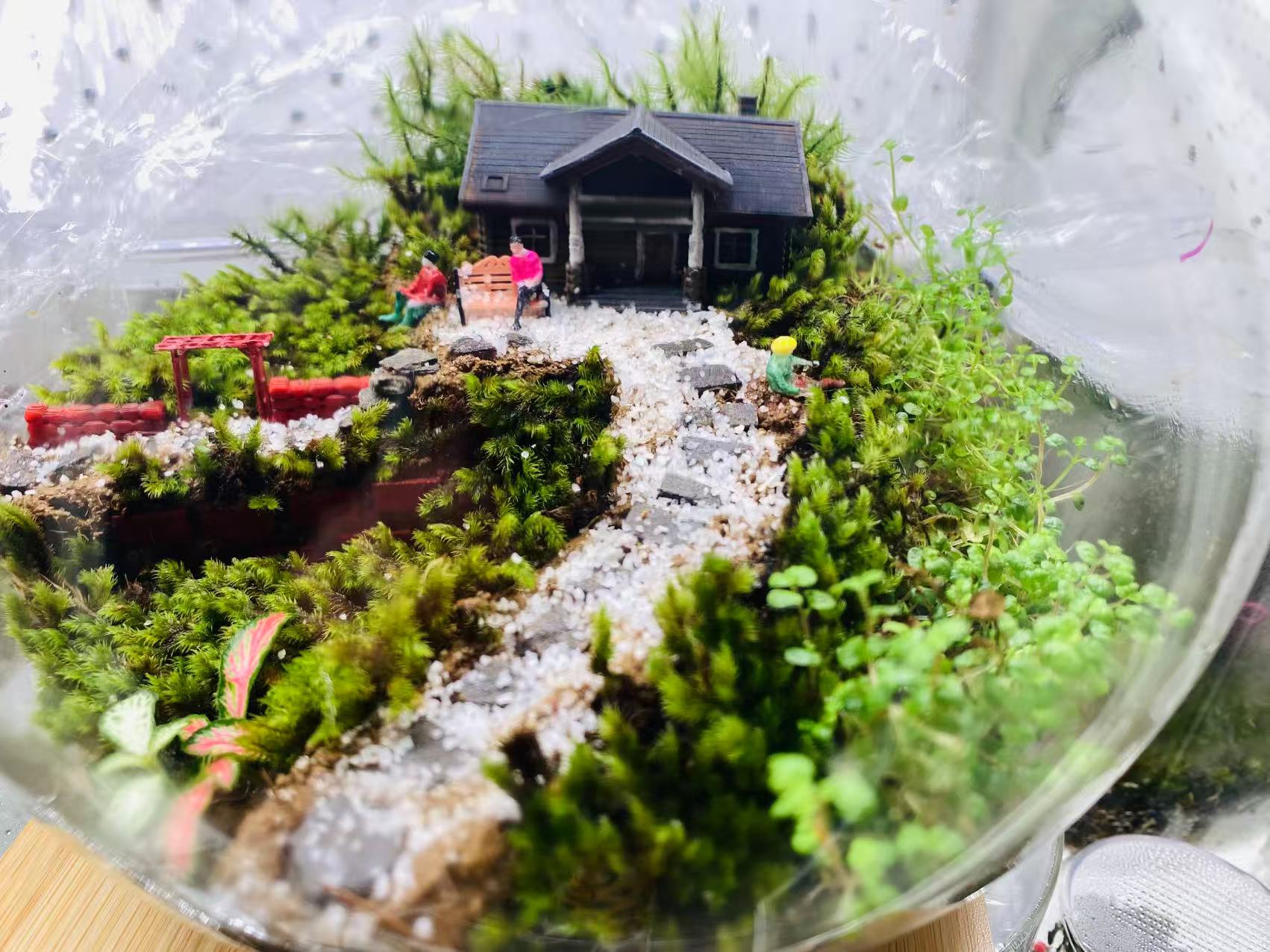 Woodland Getaway