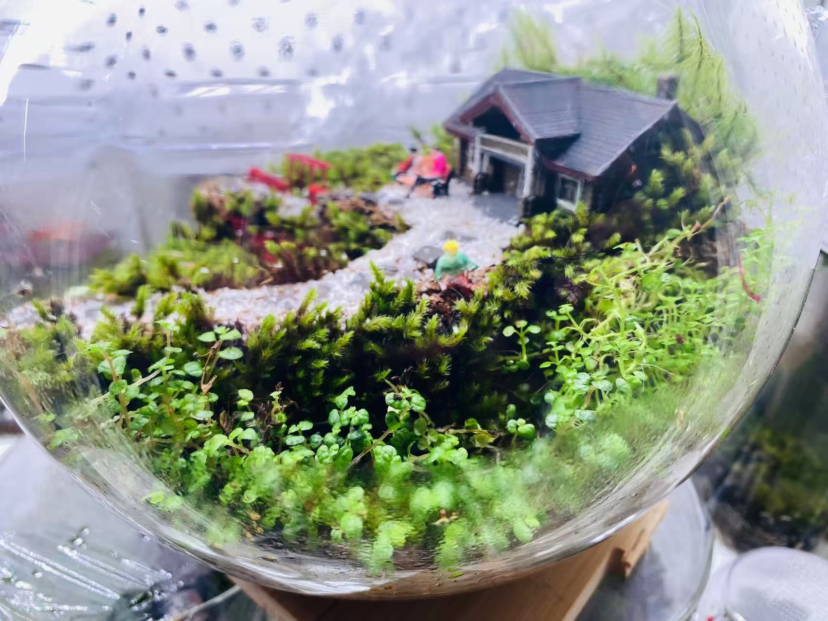 Woodland Getaway