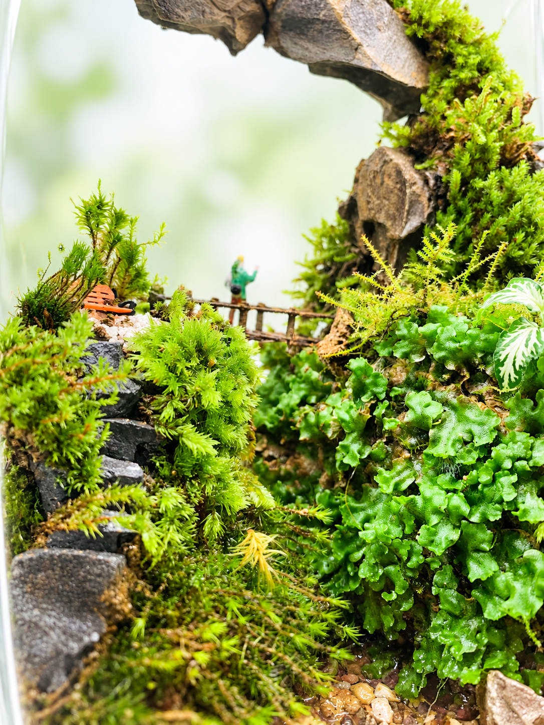 Emerald Gorge