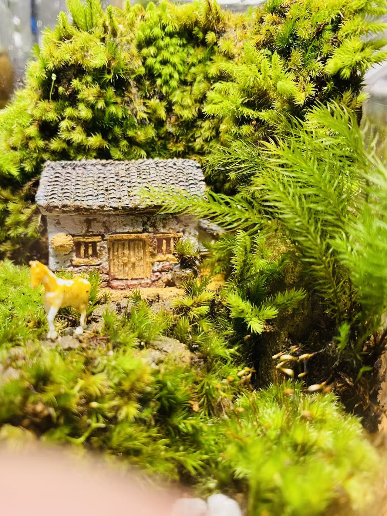 Cabin under hill